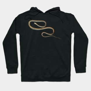 serpent,cobra,reptile,viper,venom,lizard,rattlesnake,king cobra Hoodie